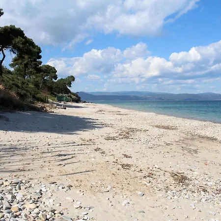 Erika View