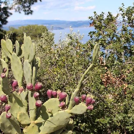 Erika View Nyaraló *