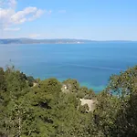 Erika View