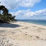 Erika View