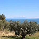 Erika View Agios Nikolaos (Chalkidiki)