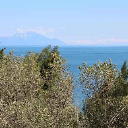 Erika View