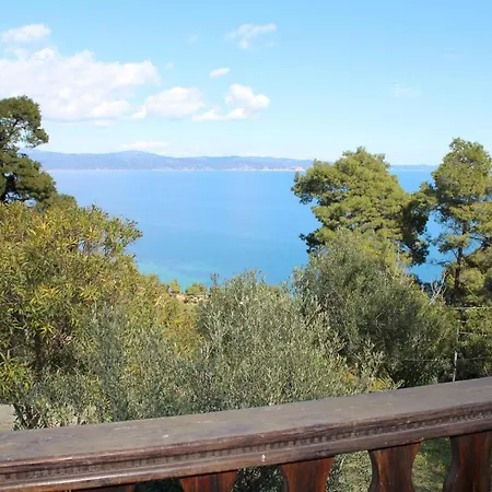 Erika View *