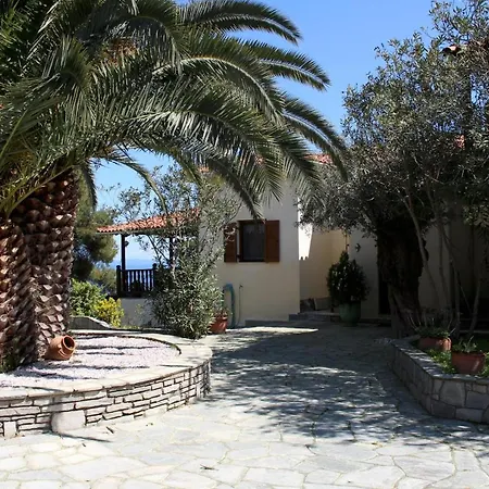 Erika View