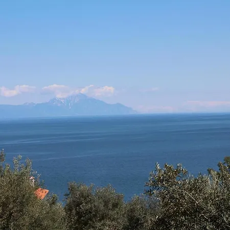 Erika View
