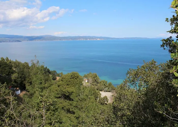 Erika View
