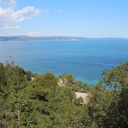 Erika View