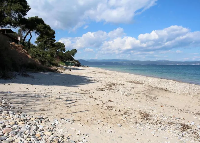 Erika View