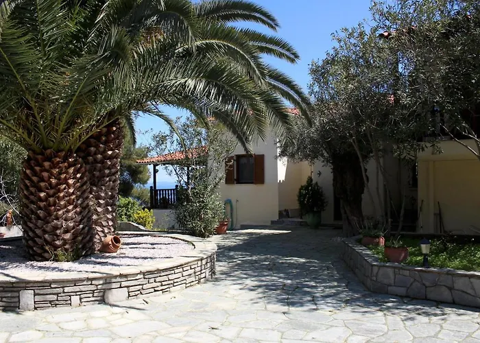 Erika View