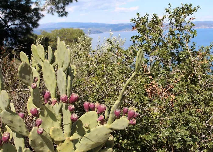 Erika View Holiday home *